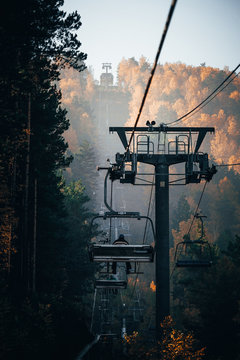 People riding on a chair lift up a hill with trees on it.