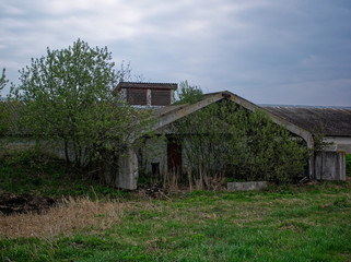 Fototapeta na wymiar old dairy farm in spring, Russia.