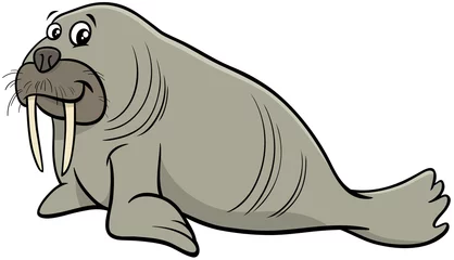 Fotobehang walrus wild animal character cartoon illustration © Igor Zakowski