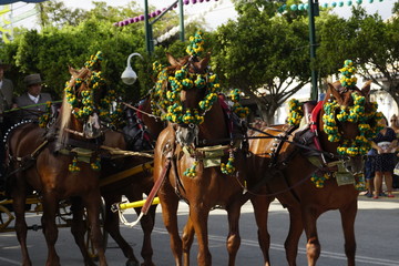 horse carriage concurso de enganches de carruajes de coches de caballos feria de malaga 2019