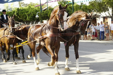 horse carriage concurso de enganches de carruajes de coches de caballos feria de malaga 2019