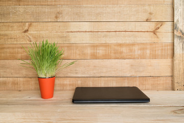 Closed laptop and green houseplant on the table. Home workplace. End of working day. Wooden background.