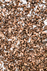 Dry fallen leaves on the ground. Slightly covered with snow leaves. Background of leaves, texture