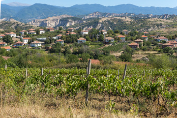 Fototapeta na wymiar Lozenitsa Village and Vine plantations near town of Melnik, Bulgaria