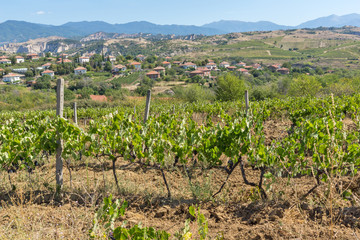 Lozenitsa Village and Vine plantations near town of Melnik, Bulgaria