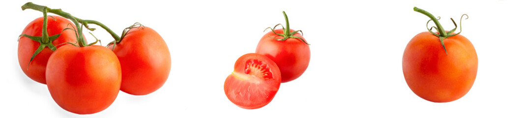 A banner with tomatoes in different forms, in a cut and branches isolated on a white background, full depth of field, no shadow, poison for design, large resolution