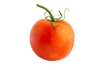 Tomato isolated on a white background, full depth of field, no shadow, poison for design