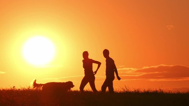 Silhouettes of couple with dog on a background of orange sun in evening. Man and woman walking pet.