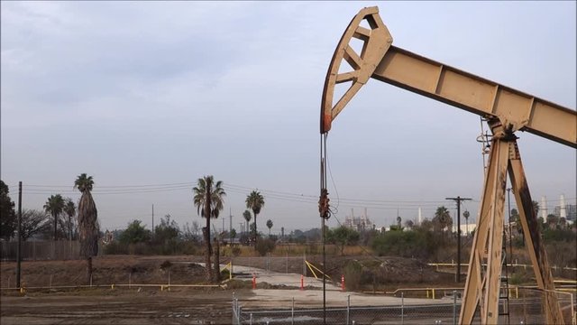 Industrial oil derrick pumping with palm trees in background