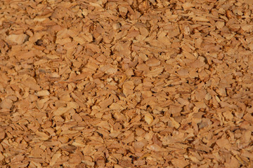 texture of balsa wood material close-up macro, high resolution