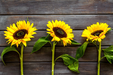 Beautiful yellow sunflowers on wooden background top view