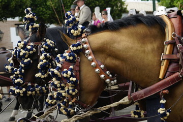 horse carriage concurso de enganches de carruajes de coches de caballos feria de malaga 2019