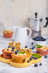 Muffins with blueberries. Delicious homemade sweet dessert. Coffee break