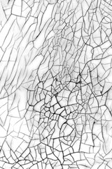 Obraz premium Abstract black and white texture