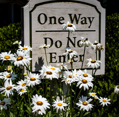 One Way Sign