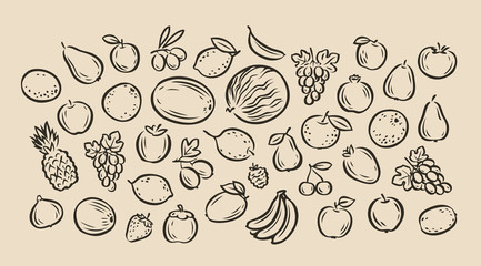 Many hand-drawn fruits. Food sketch vector illustration