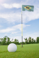 Obraz premium Delaware flag on golf course putting green with a ball near the hole