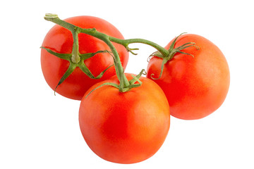 branch of tomatoes isolated on a white background, full depth of field, no shadow, poison for design