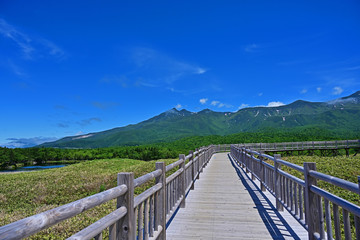 Obraz premium 木製遊歩道から見た知床五湖の情景＠知床、北海道