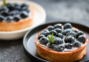 Delicious blueberry tartlets with vanilla custard cream on a black and white plates on light background. Front view. 