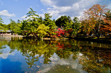 Fototapeta na wymiar Autumn leaves are reflected in the pond .