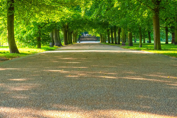 Greenwich Park in London, UK