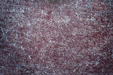 Текстуры старого пластика загорелись от солнца.