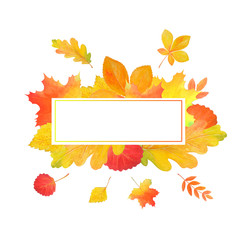 Presentation template on white background. Autumn leaves.