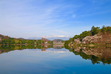 Fototapeta na wymiar 春の南湖公園（福島県・白河市）