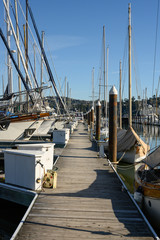Fototapeta premium Looking Down the Dock