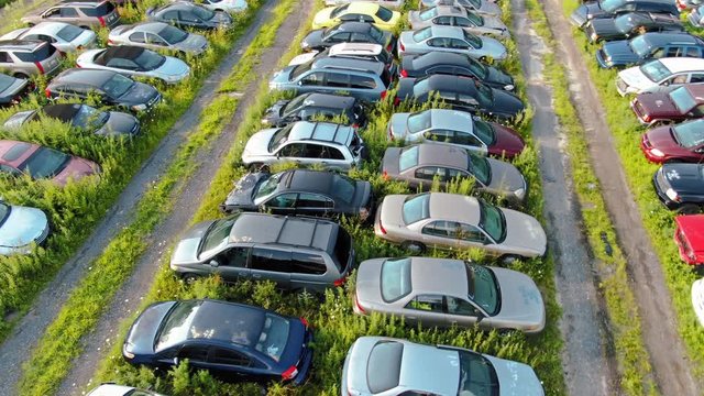 Aerial shot quarter-turn above rows of crashed cars in junkyard filled with weeds, 4K