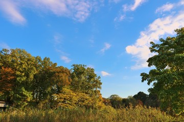 風景　秋　空　雲　茨城
