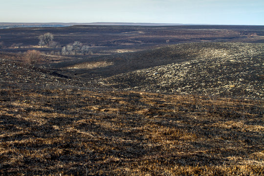 Kansas Flint Hills landscape after grass burning