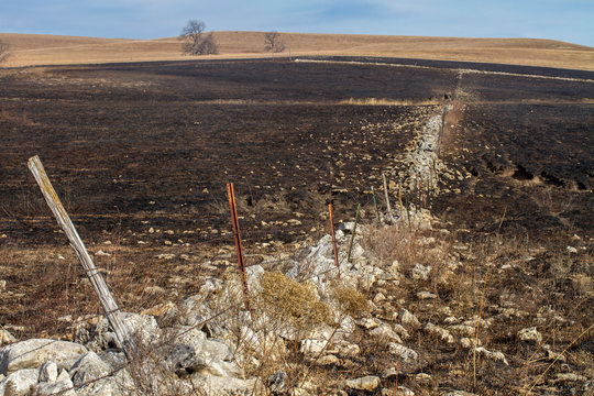 old stone fence and metal post fence through burned Kansas prairie