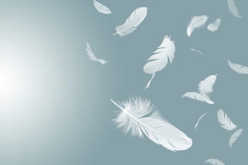 abstract white feathers floating in the air