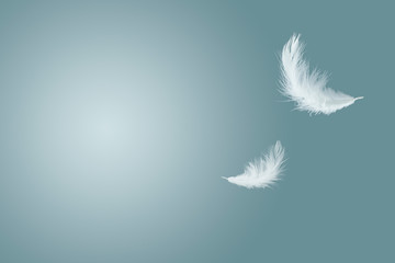 abstract white feathers floating in the air
