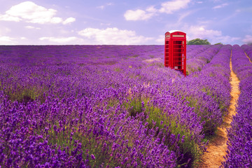 Telecommunication in rural areas and idyllic countryside concept theme with a vintage english...