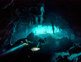Preserve and protect our nature to last long forever!