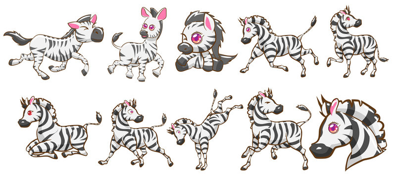 Zebra Vector Set Graphic Clipart