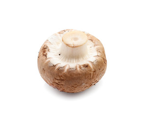 champignon mushrooms on white background