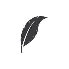 feather logo vector