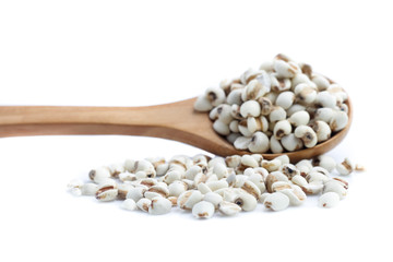 Job's Tears on white background