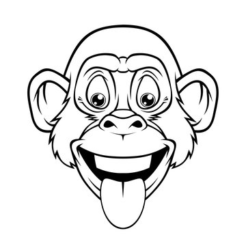 Cool Monkey.