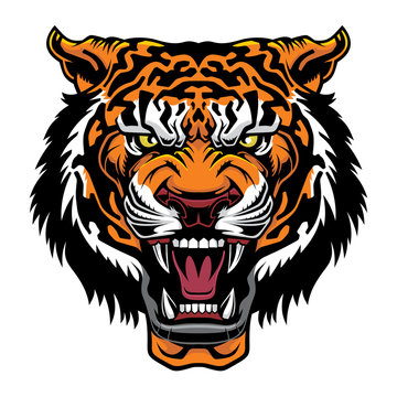 The head of a roaring tiger. Predatory grin.