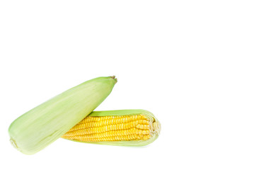 copy space corn isolated on a white background