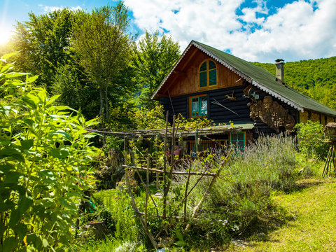 wooden  cotage house
