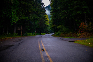Obraz premium road in forest