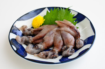 ホタルイカの刺身