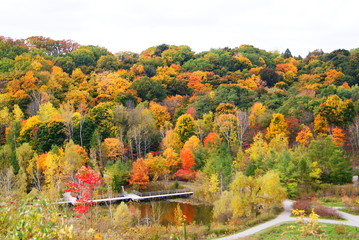 Obraz premium Stunning photos of Autumn