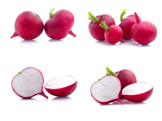 set of radish isolated on white background